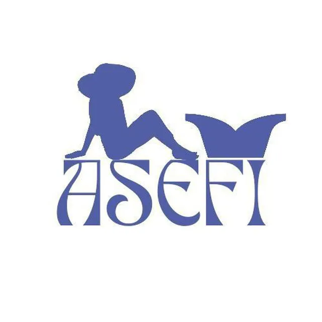 بادی کراپ عمده  تولید  پخش